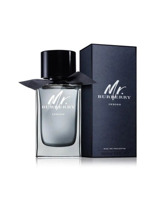 Burberry Mr. Burberry EDP For Men