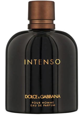 D&G Intenso EDP For Men