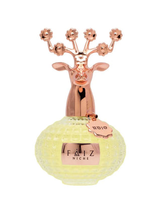 Faiz Niche Mojo Extrait De Parfum Unisex