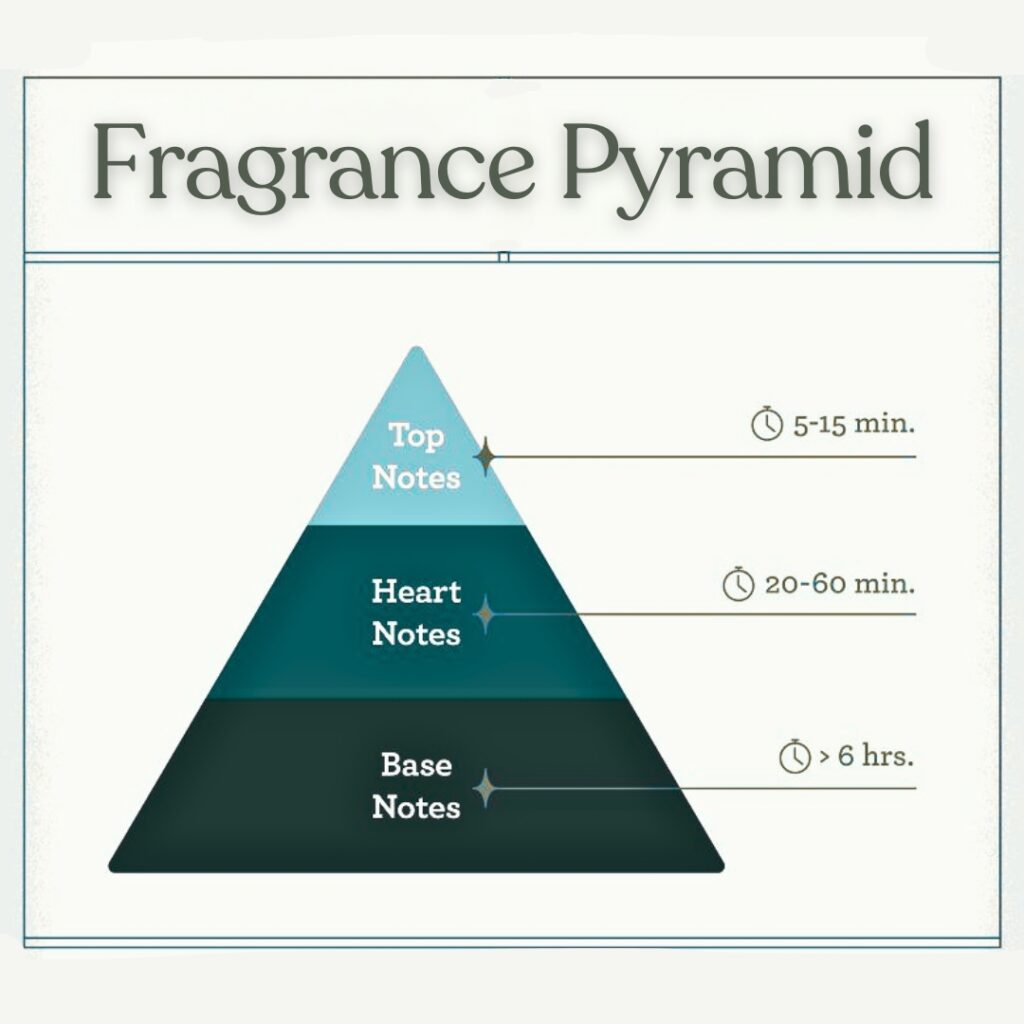 fragrance pyramid v brand gallery